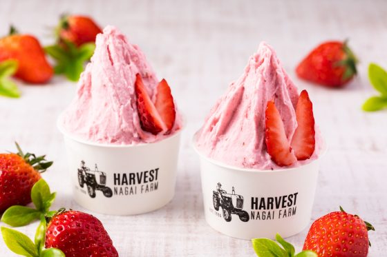 Spring limited edition gelato “Marugoto Strawberry”