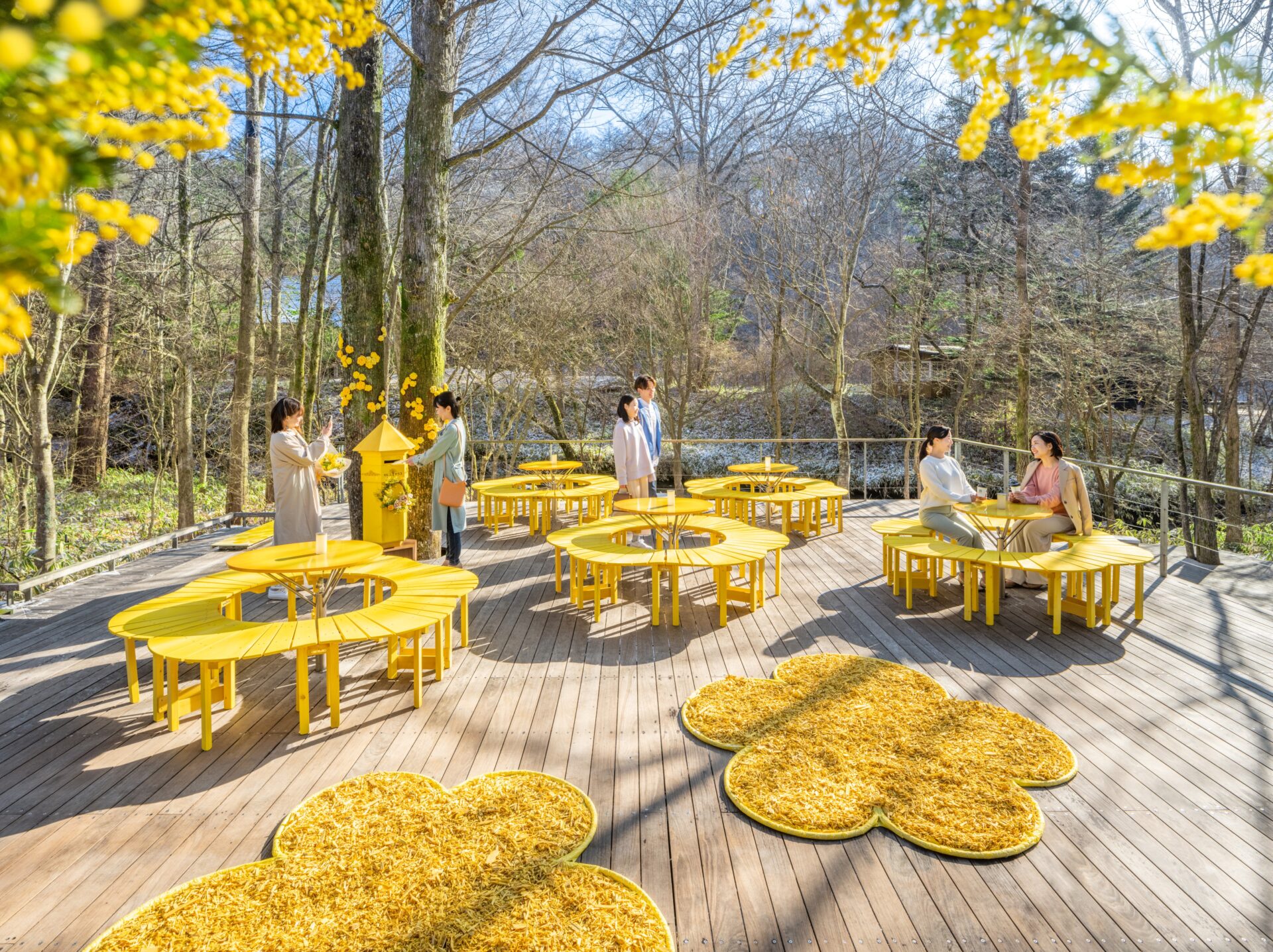 “Hello Yellow” conveys gratitude for spring