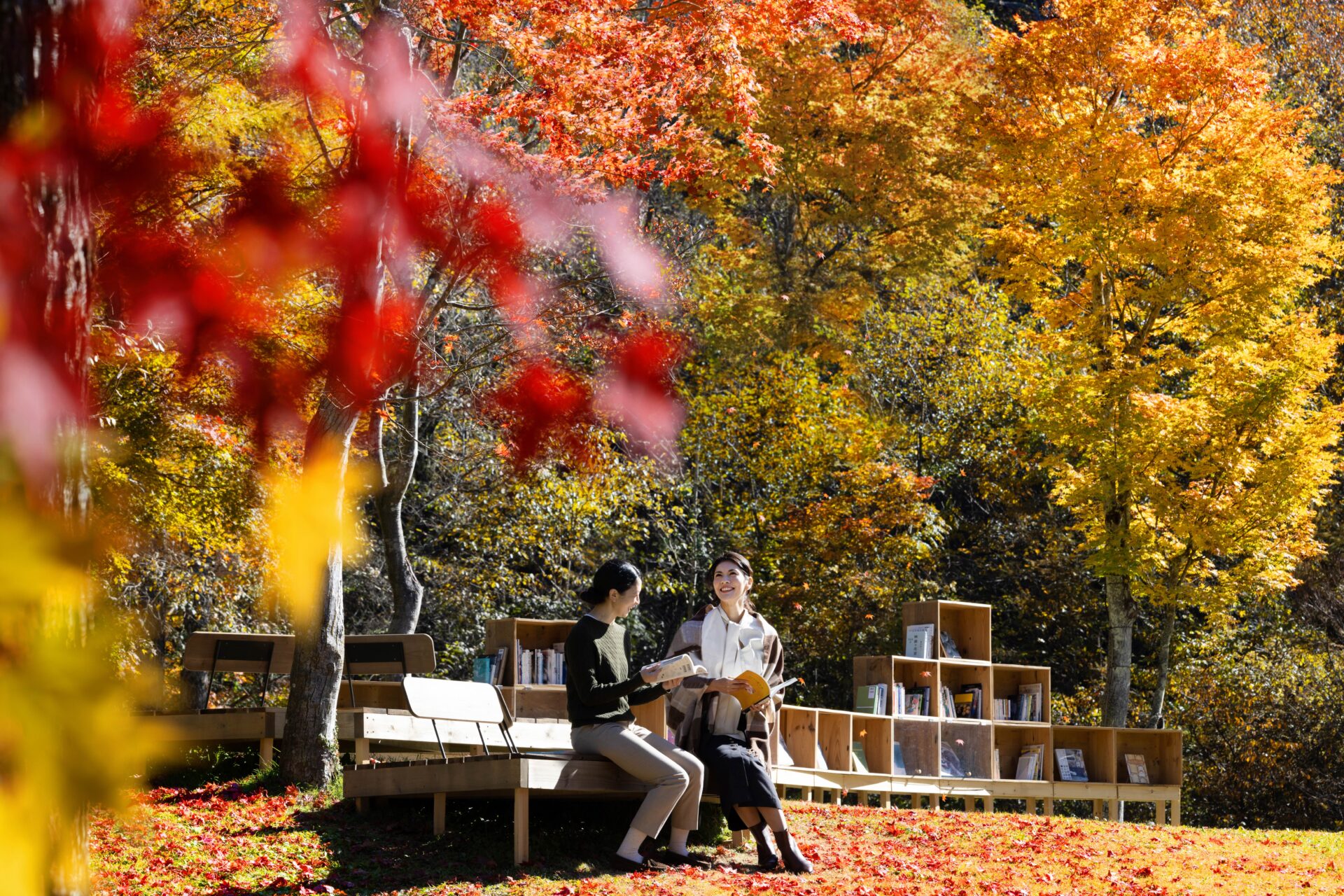 秋晴れの空の下、ゆっくりと過ごす「紅葉図書館」