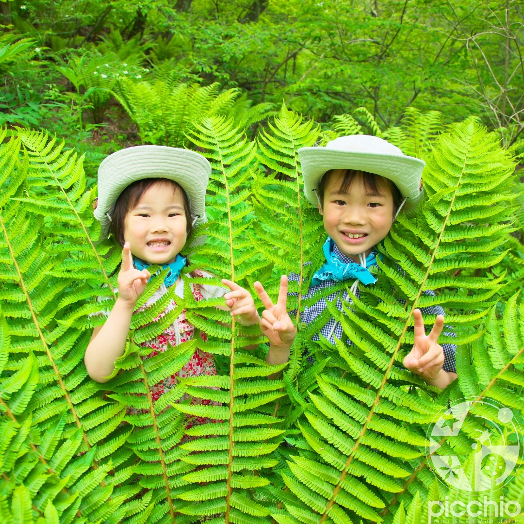 仅限黄金周！举办儿童节目