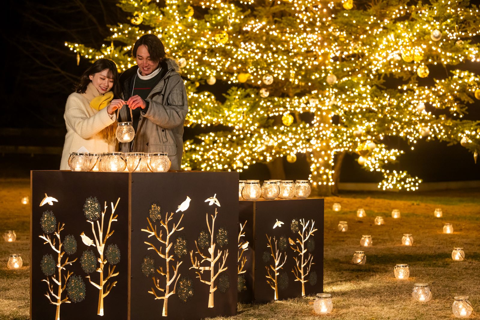 槲寄生树点亮了温暖的小镇景色——轻井泽星野地区的圣诞节