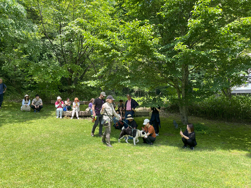 [Event Report] Budding Bear Dog Interaction Event - Hello, Sushana!