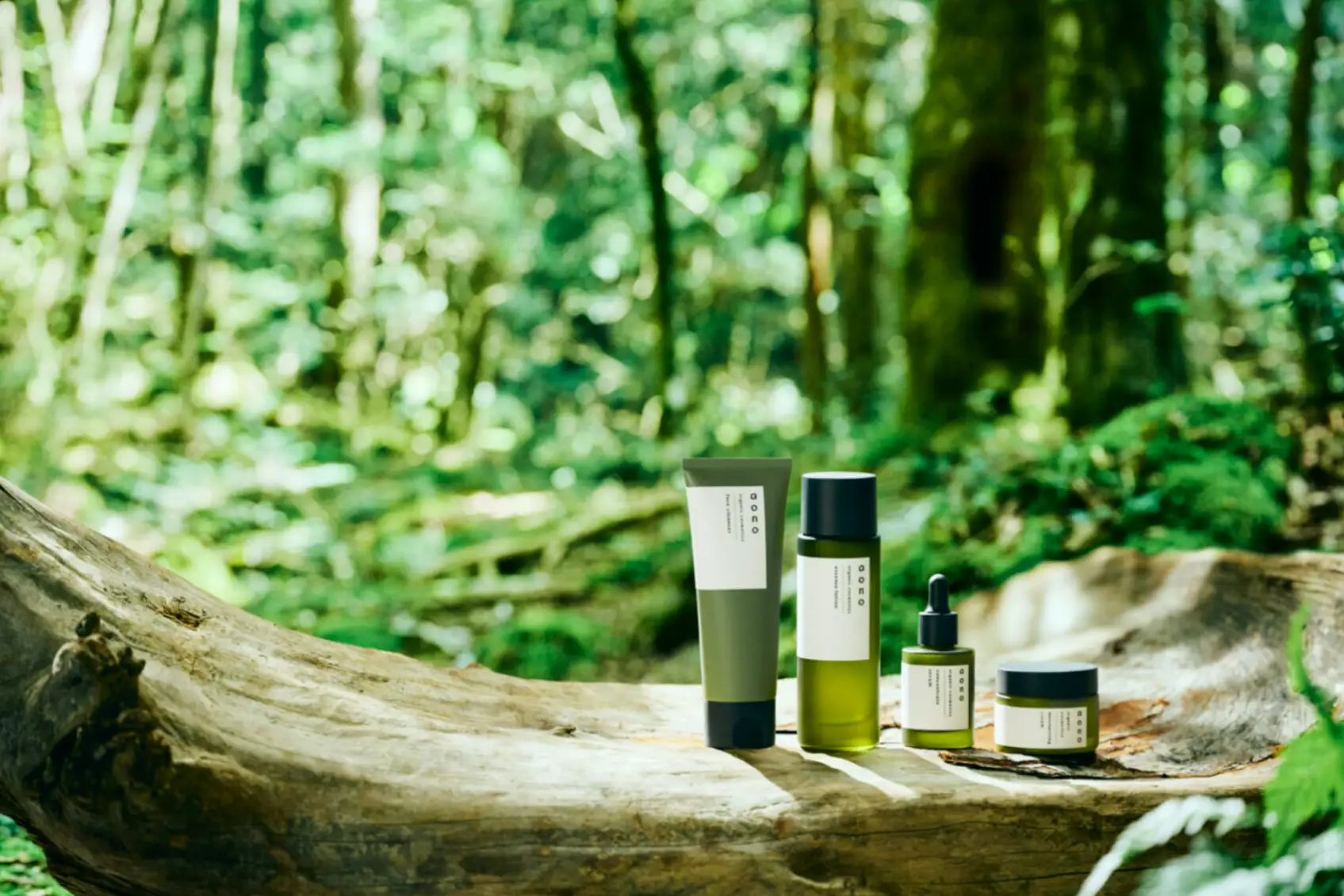 A moment enveloped in the scent of the forest. Organic cosmetics brand "aono" is currently holding a pop-up shop