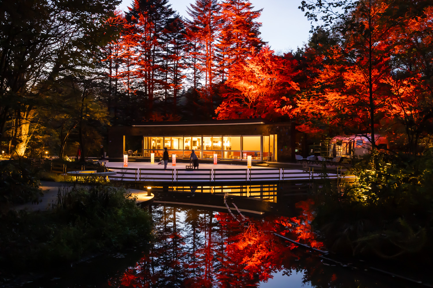 Autumn leaves art on the ice at dusk Autumn leaves light rink