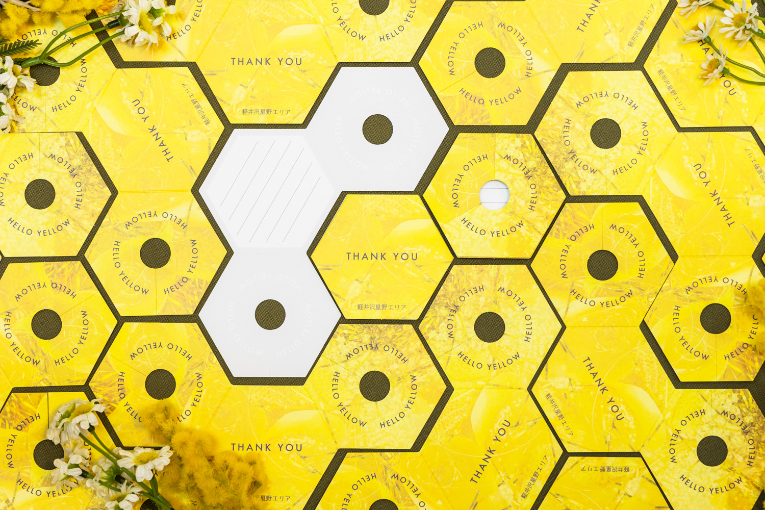 把春天送給特別的人。