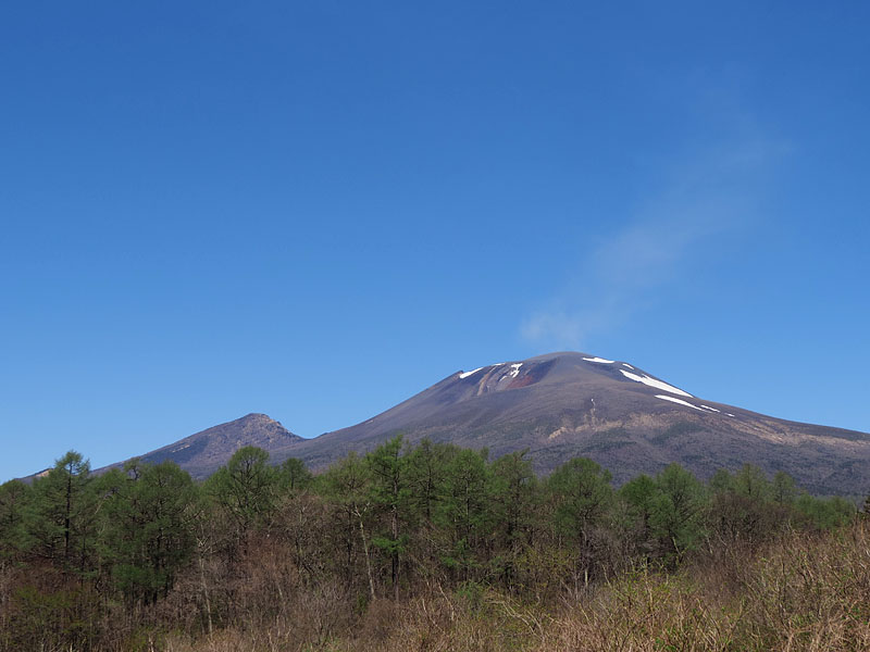 The Wild Bird Forest Maintenance Team: Getting familiar with the forest and maintaining it together