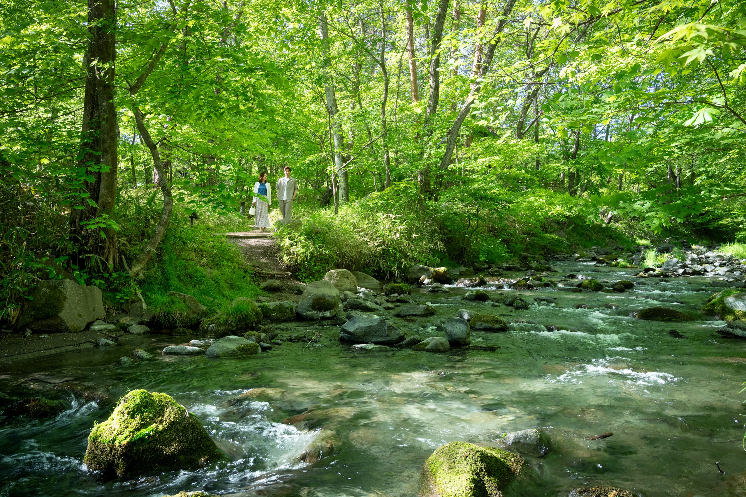 ハルニレテラスで見つける地球に優しい選択