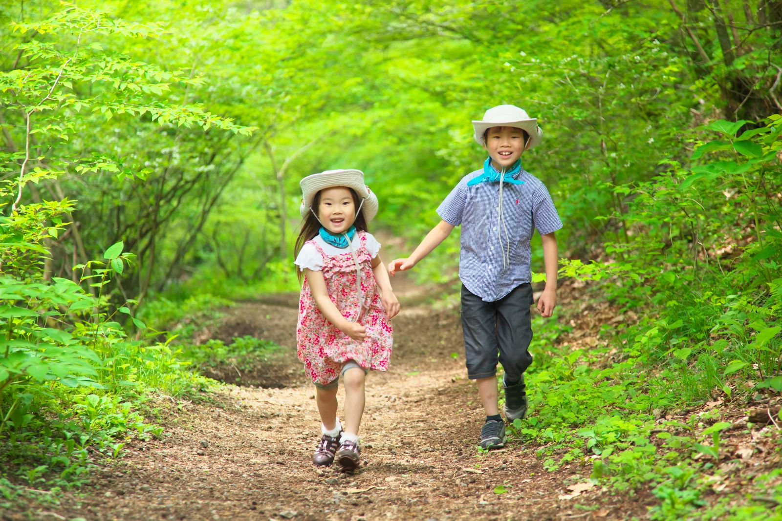 5/2～6限定！お子様向け自然体験プログラム開催