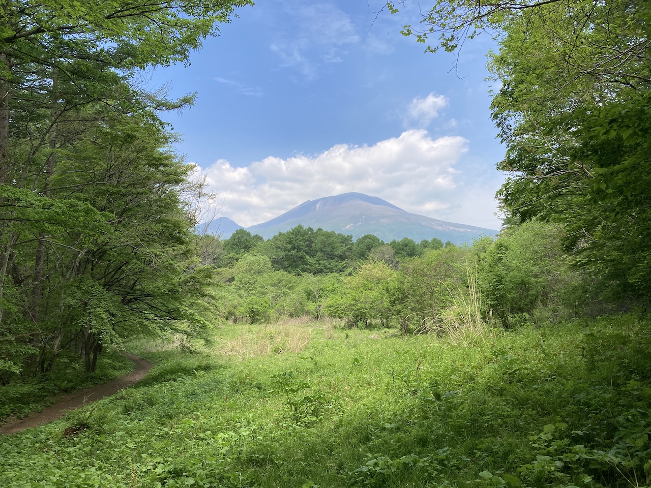 豊かな森をみんなでつくる「野鳥の森整備隊」