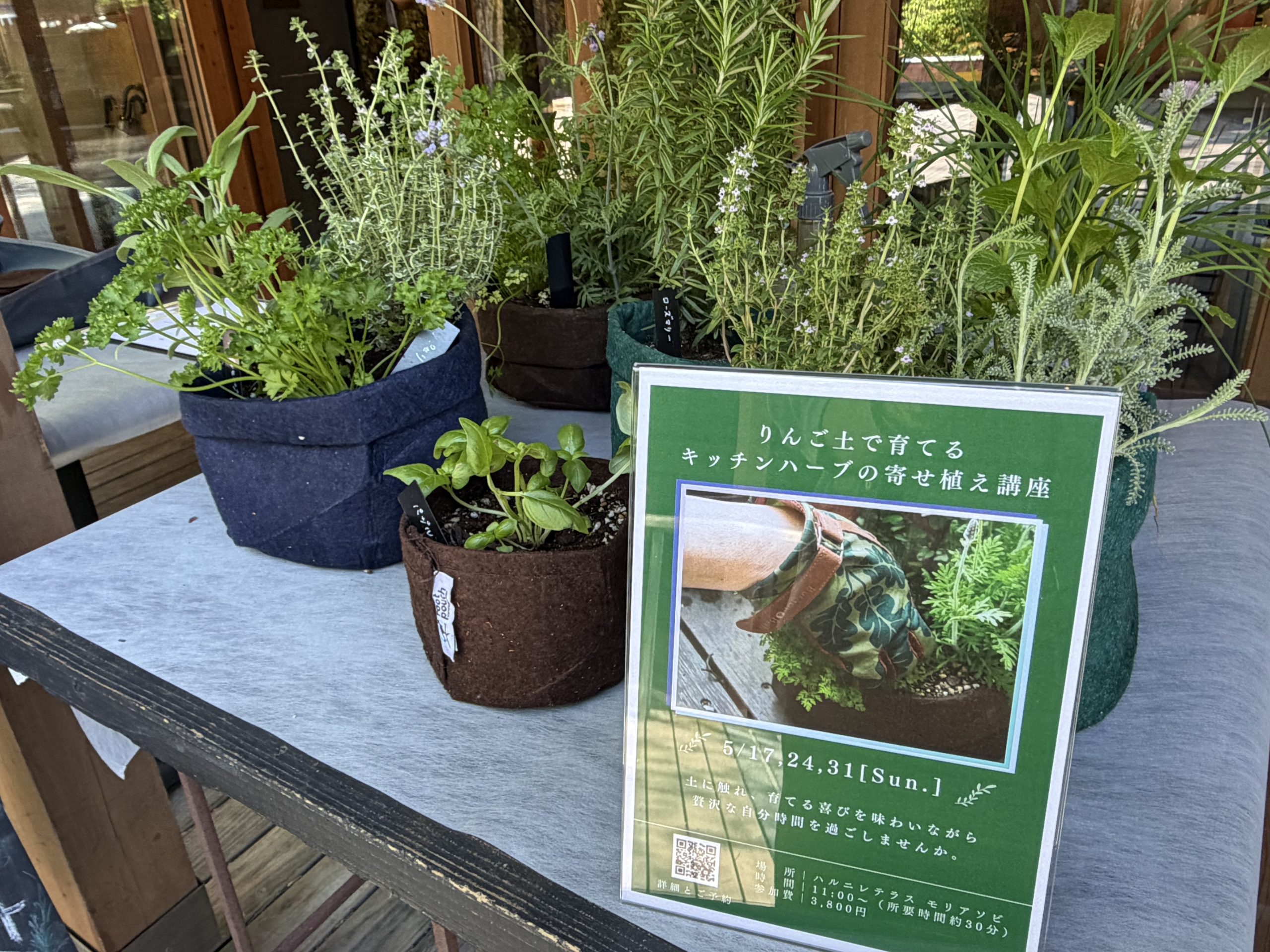 [Event Report] Workshop on growing kitchen herbs in apple soil